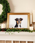 Framed pet portrait gift bundle